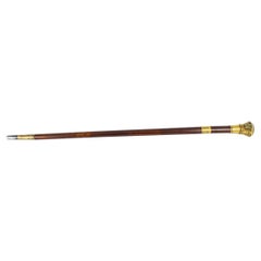 Antique English Nigerian 5th Malacca Sword / Walking Stick Cane, 19th Century