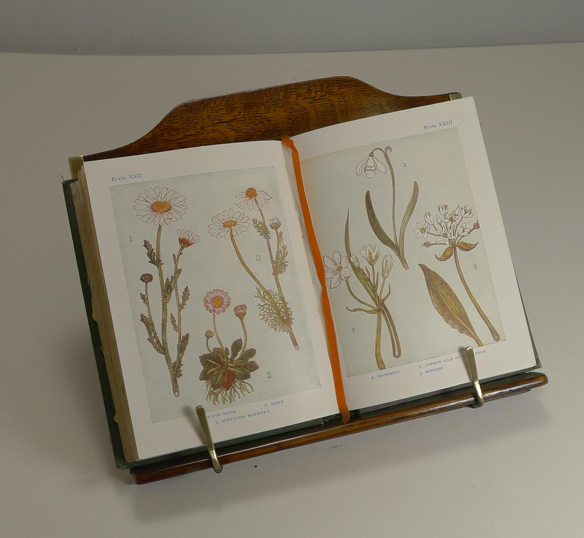 Antique English Oak and Brass Lectern / Book Rest, circa 1890 1