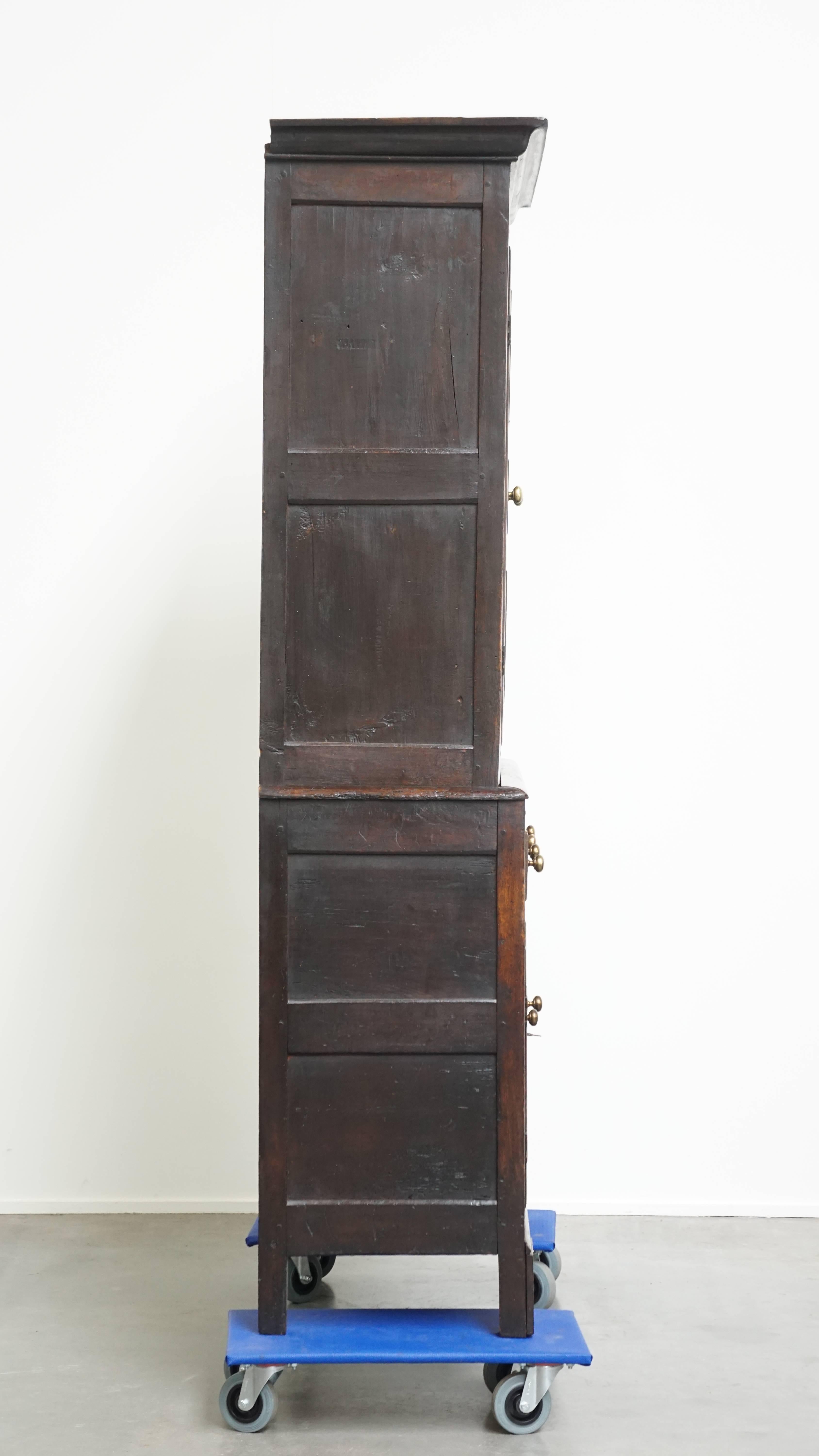 Classical Roman Antique English Oak Food Cupboard from the Late 18th / Early 19th Century For Sale