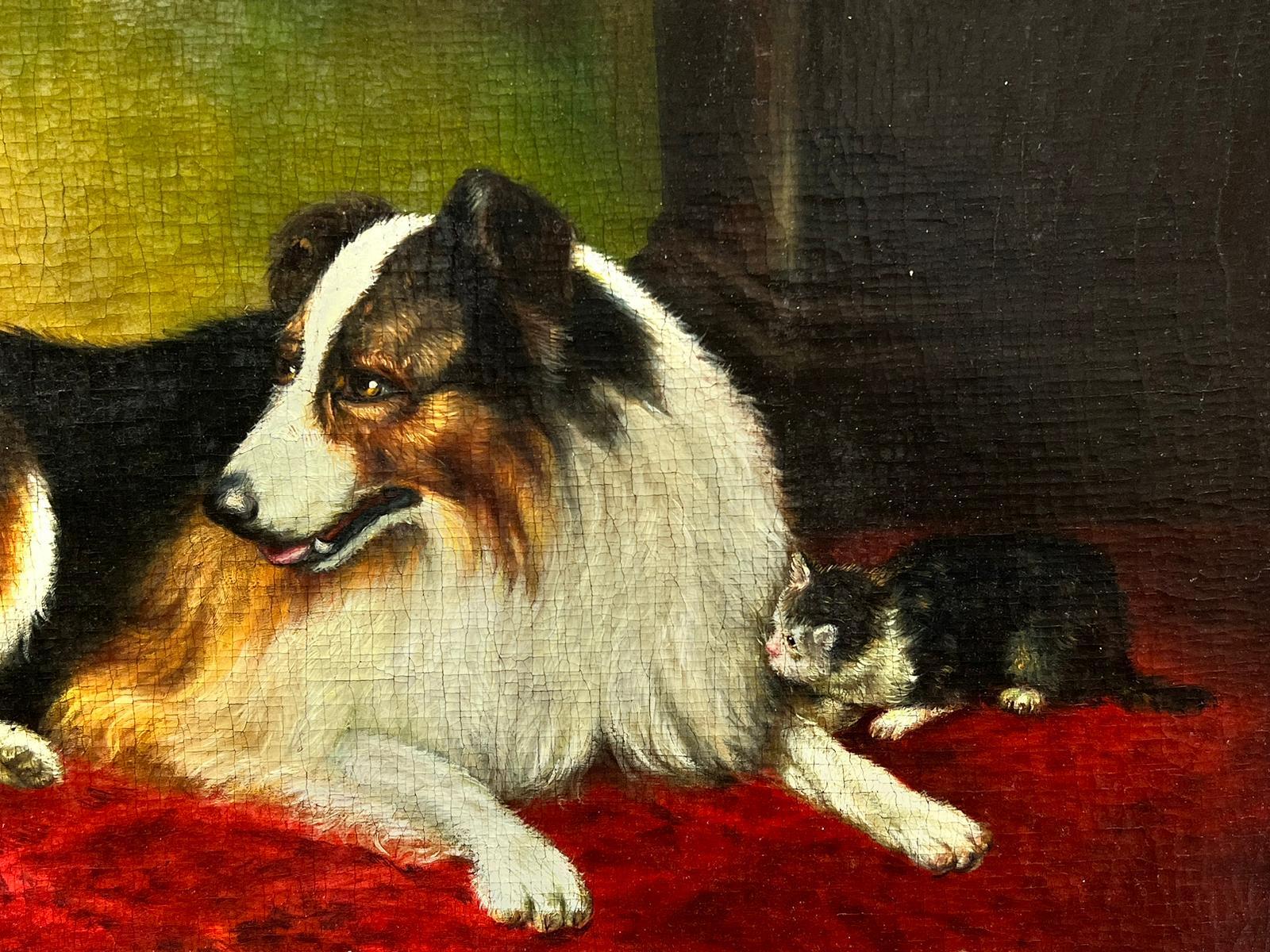 Collie Dog with Kittens Antique English Victorian Dog & Cat Oil Painting For Sale 1