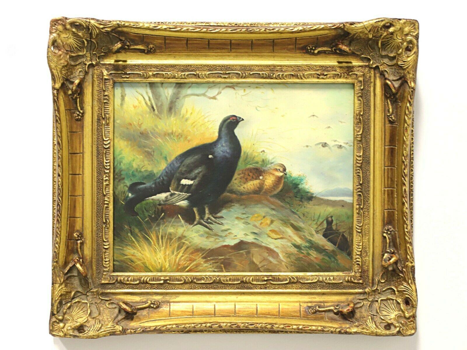 Antique English Oil on Board Painting - Birds 1