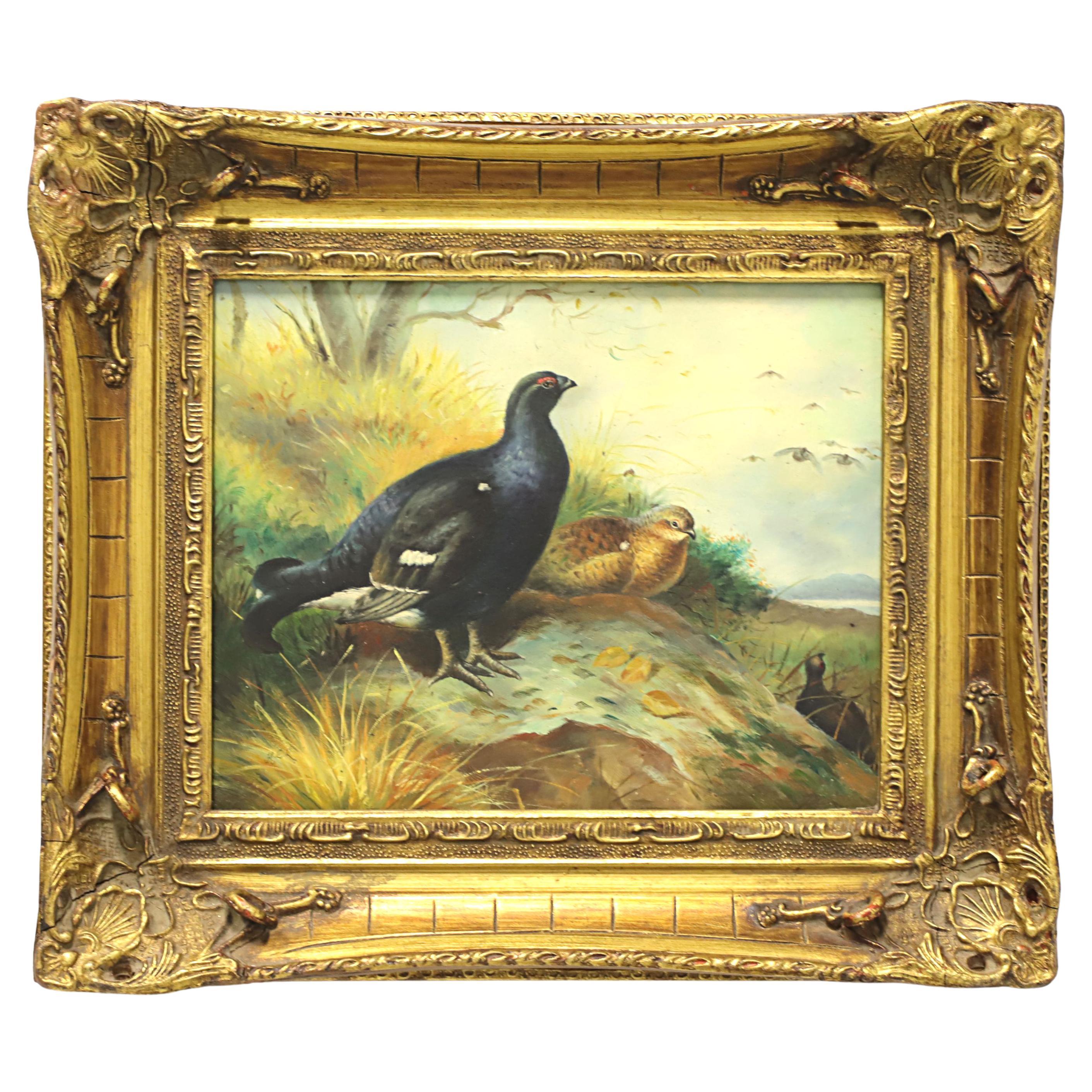 Antique English Oil on Board Painting, Birds