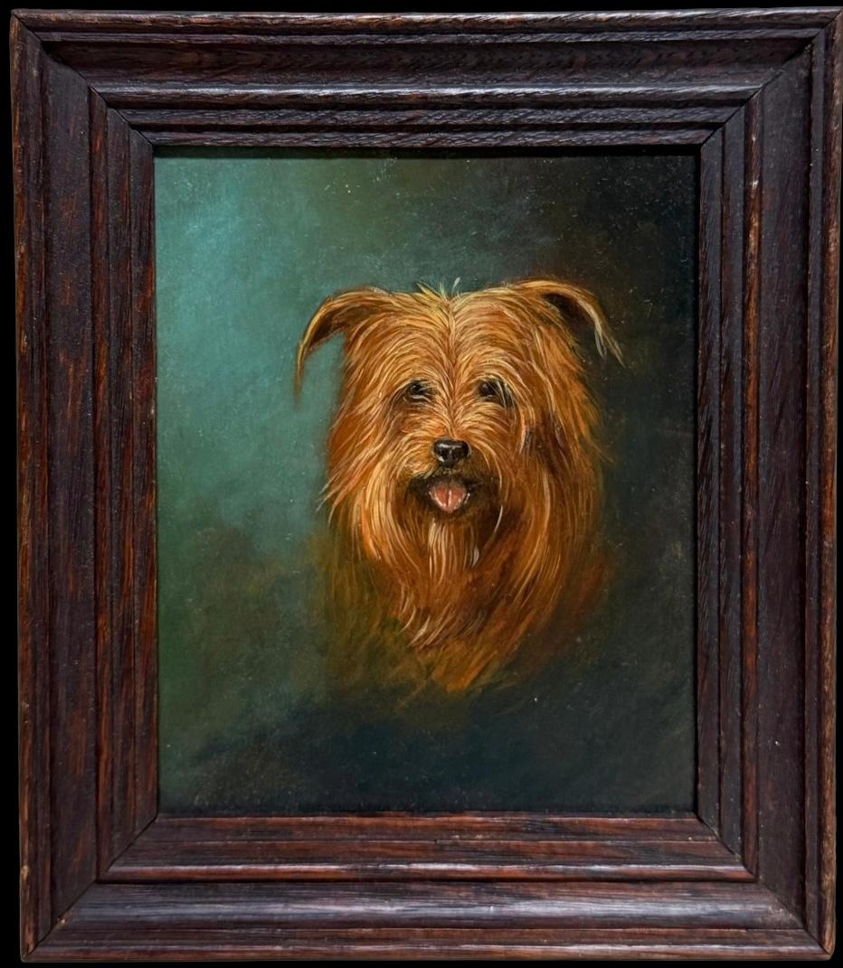 Antique English oil Animal Painting - Antique Portrait of Yorkshire Terrier Dog Scruffy Tan Coat English original