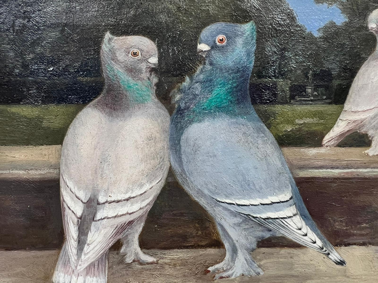 pigeon oil painting