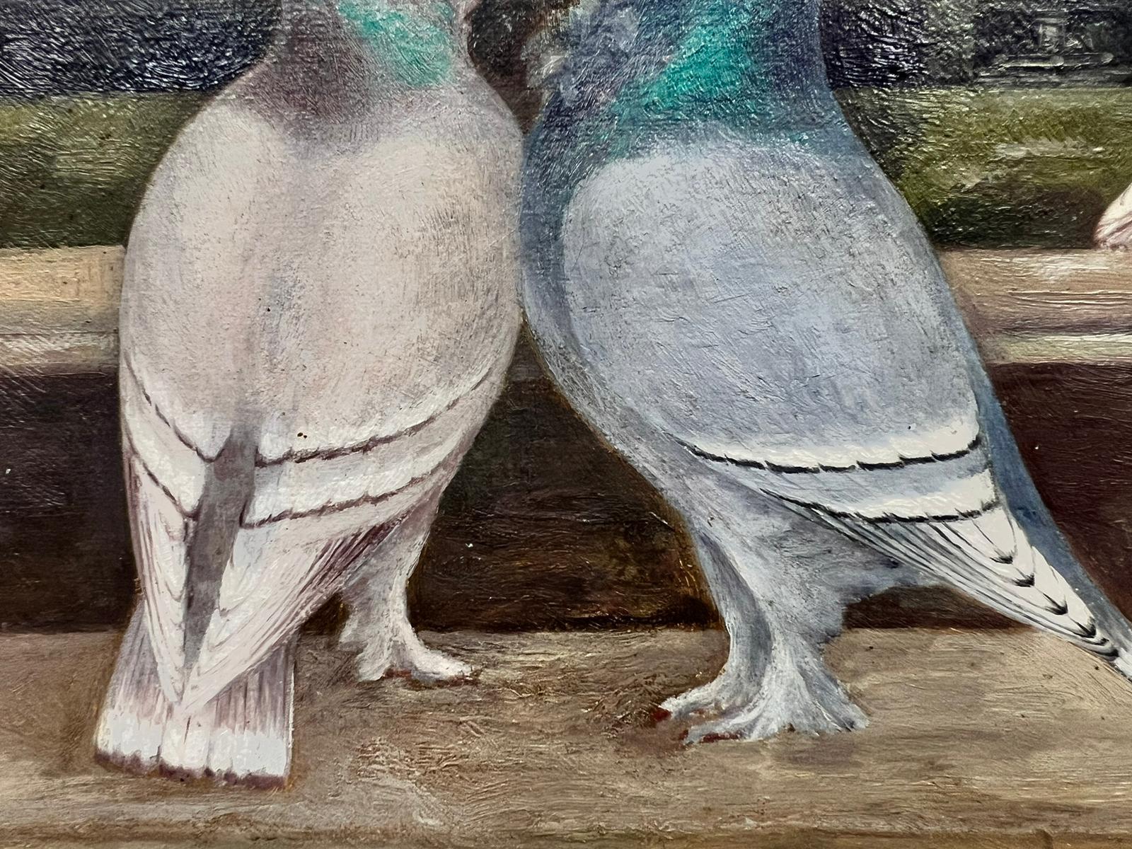 Artist/ School: English School, early 1900's

Title: Doves or Pigeons in an ornamental park landscape setting. 

Medium: oil on canvas, framed

Size : 10.5 x 15 inches
Framed: 8 x 12 inches

Colors: Grey colors with blue, green and turquoise