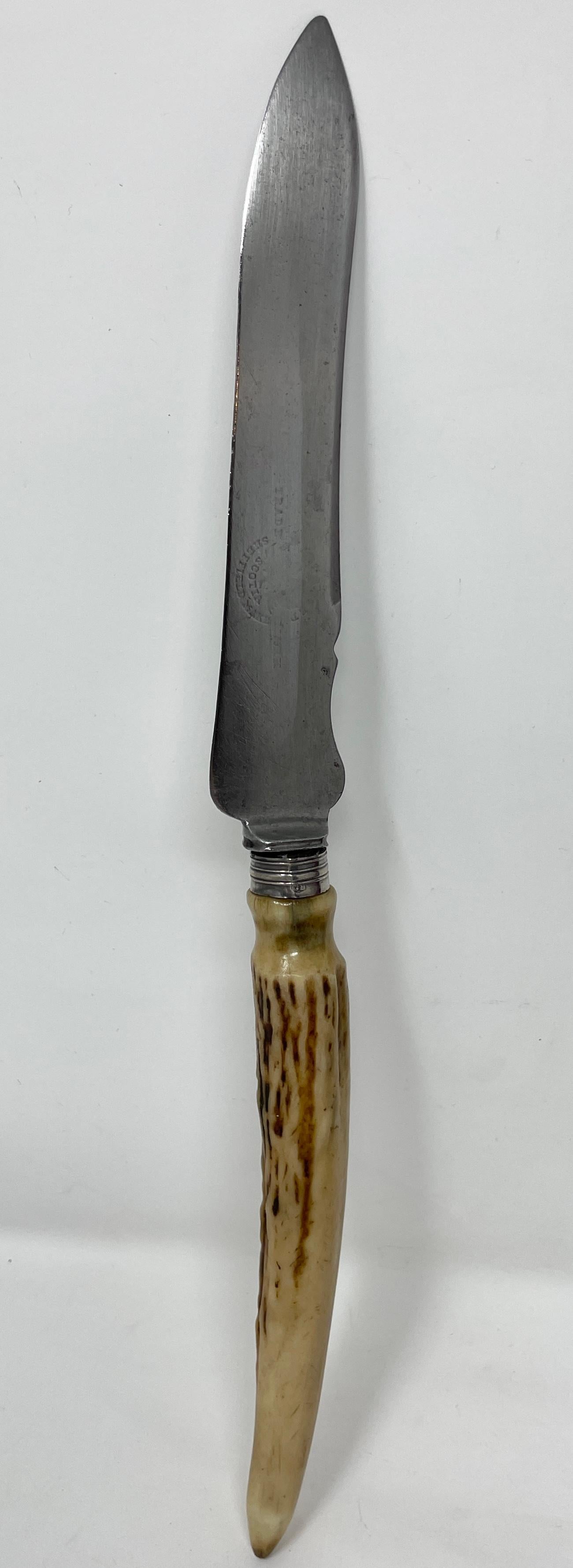 Antike englische altviktorianische Horn-Griffschnitzerei im Etui, CIRCA 1860. (19. Jahrhundert) im Angebot
