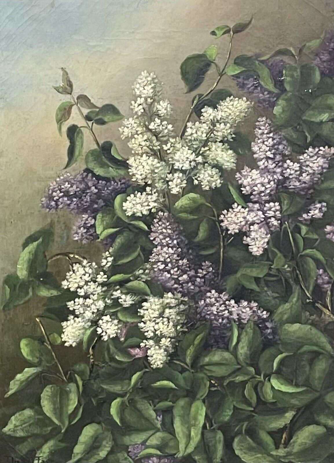 ANTIQUE ENGLISH OIL PAINTING - STILL LIFE OF LILAC FLOWERS - ANTIQUE GILT FRAME - Painting by Antique English