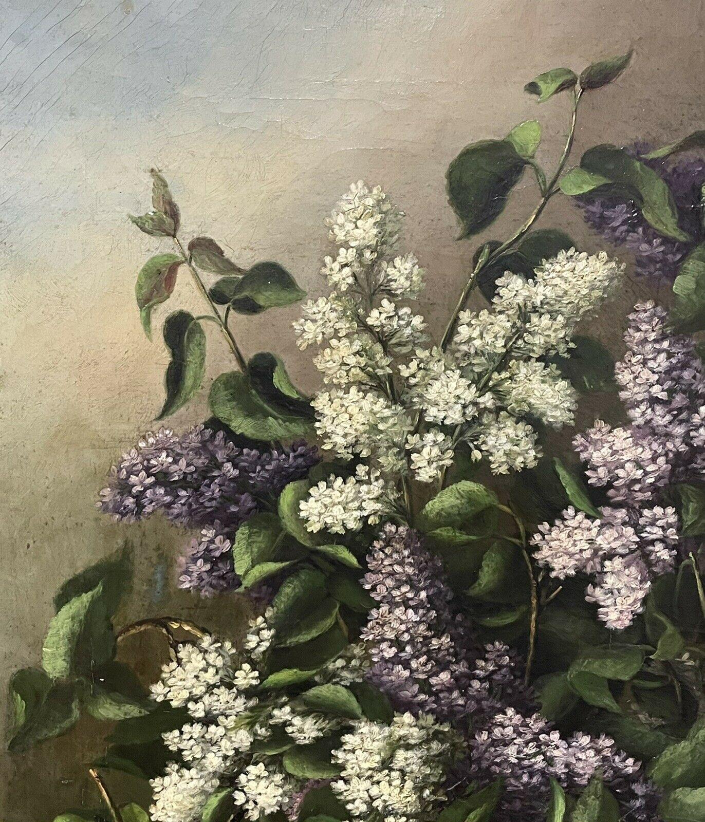 life in lilac