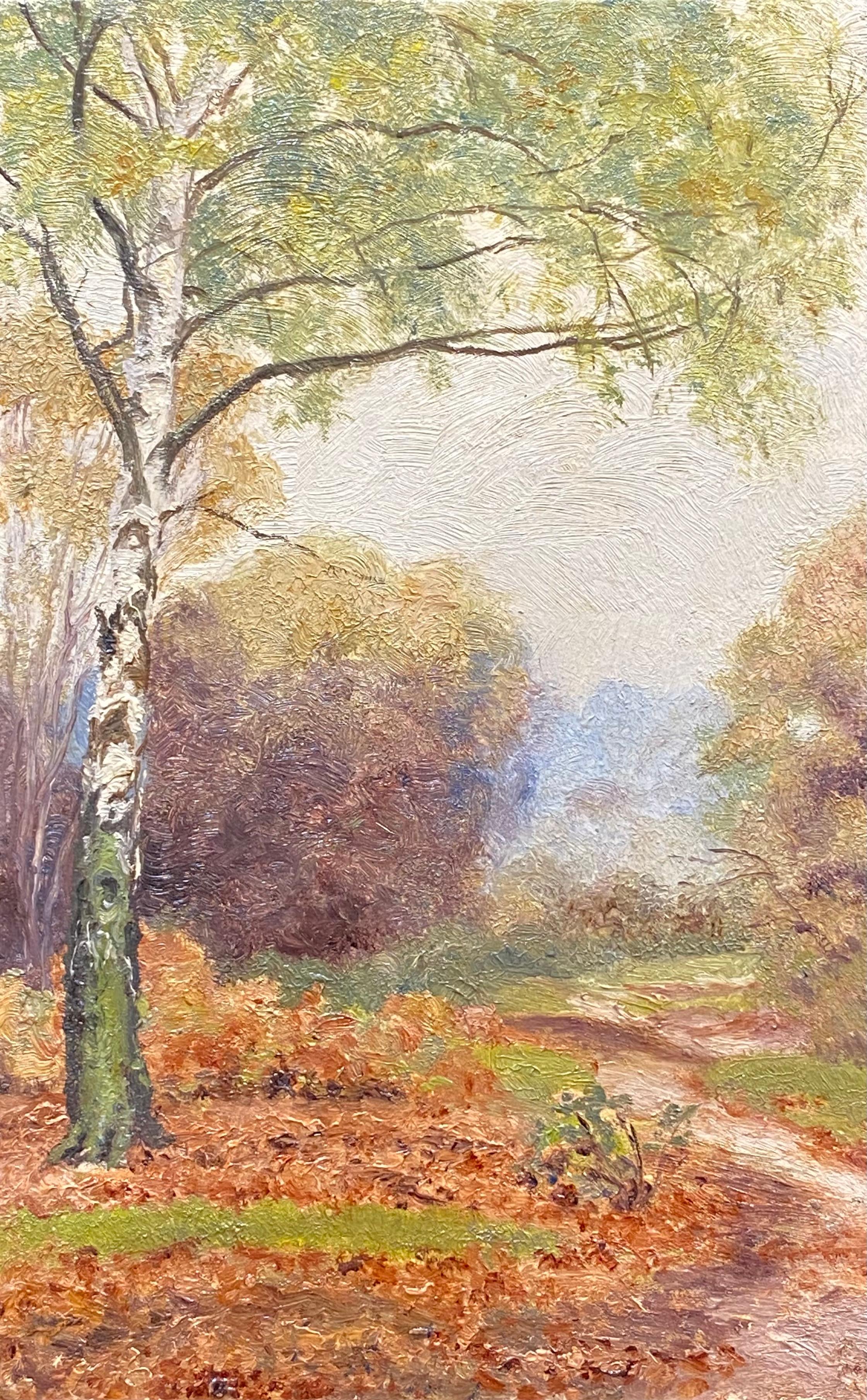 Antique English Still-Life Painting - Early 1900's English Impressionist Oil Painting Woodland Autumn Landscape