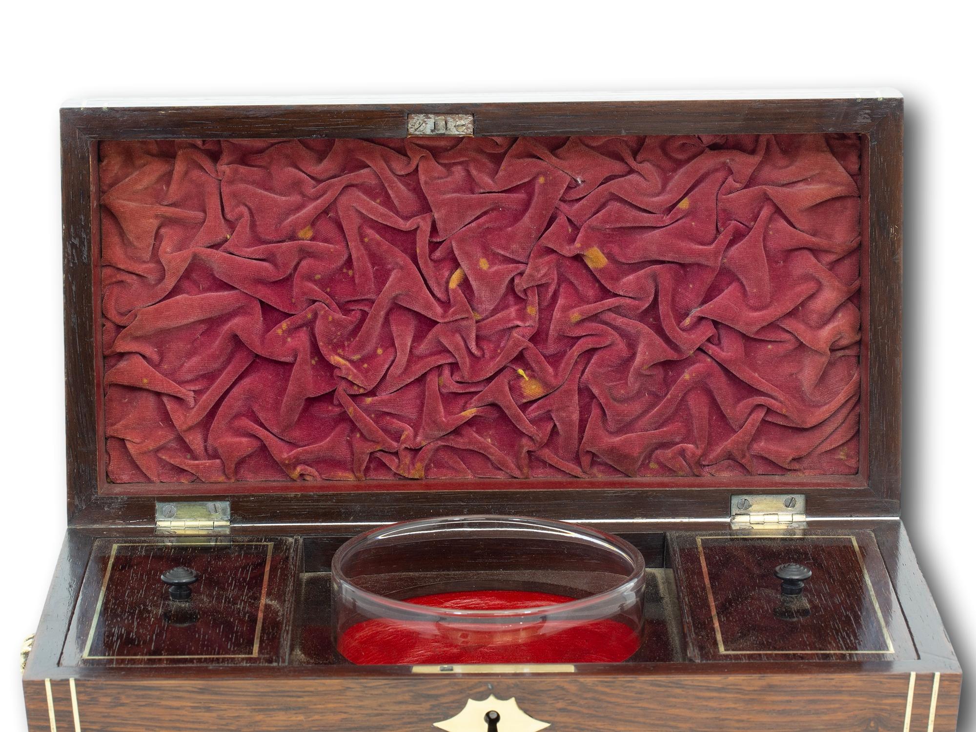 Antique English Regency Inlaid Tea Caddy 9