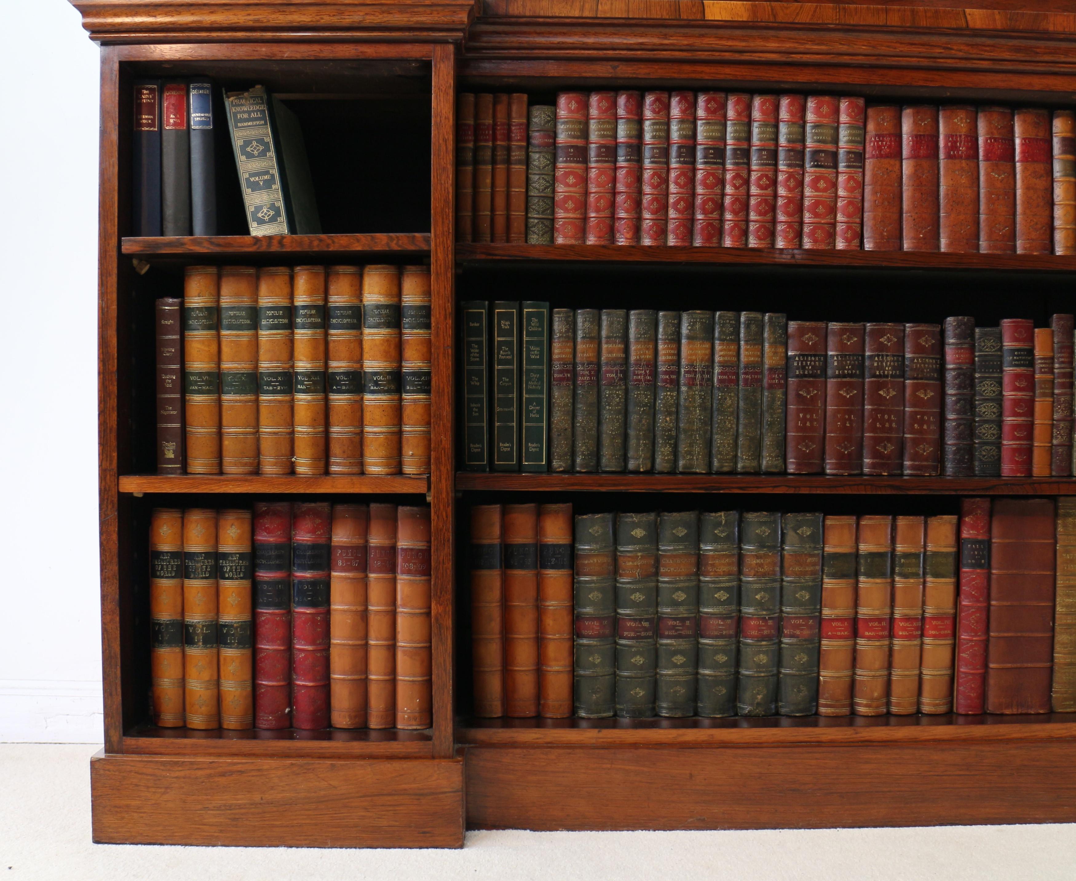 Antikes antikes englisches Regency-Bücherregal aus indischem Rosenholz mit umgedrehter Front im Angebot 9