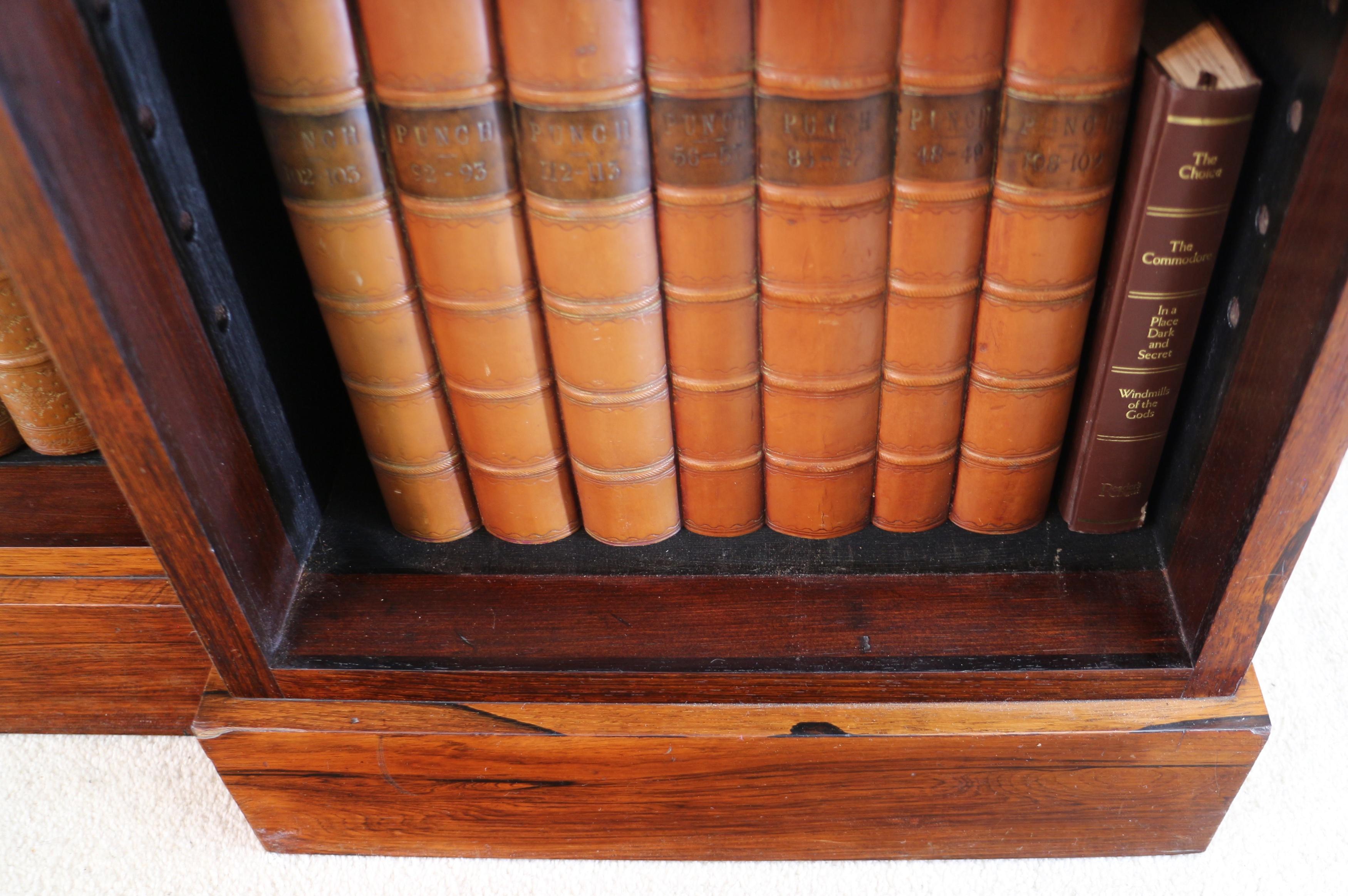 Antikes antikes englisches Regency-Bücherregal aus indischem Rosenholz mit umgedrehter Front im Angebot 10