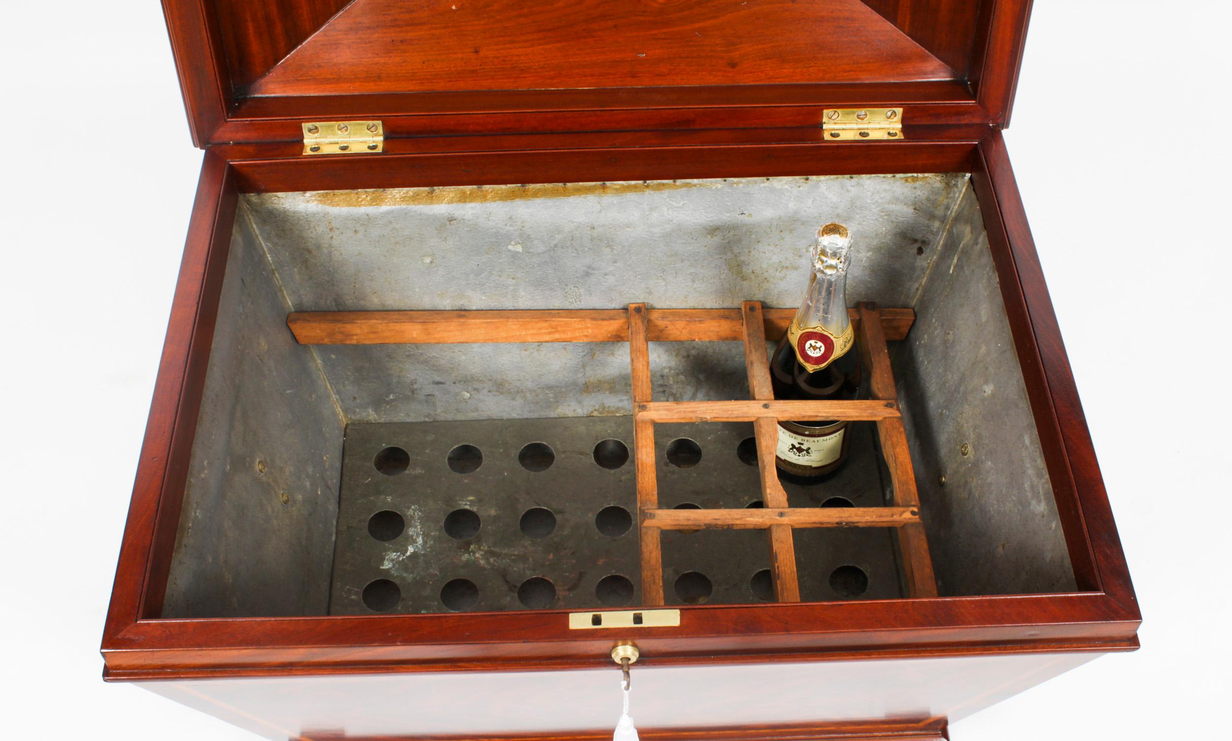 Antique English Regency Sarcophagus Wine Cellarette, 19th Century 7