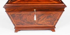 Antique English Regency Sarcophagus Wine Cellarette, 19th Century