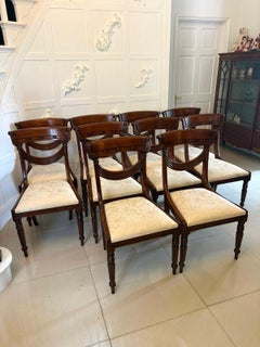 Antique English Regency Style Mahogany Dining Chairs Set of Ten