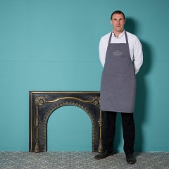 Antique French Regency Style Fire Insert