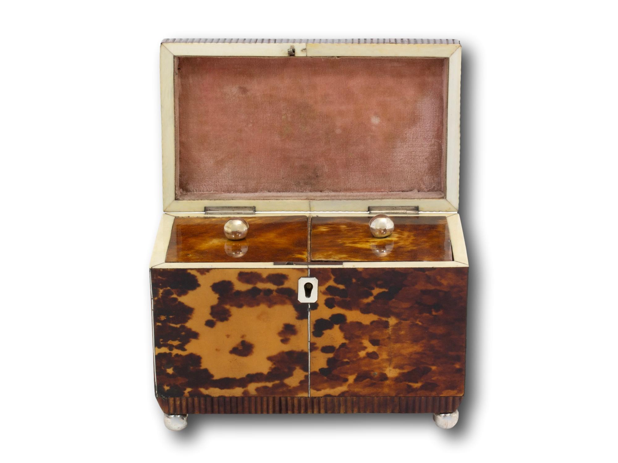 Antique English Regency Tortoiseshell Tea Caddy For Sale 4