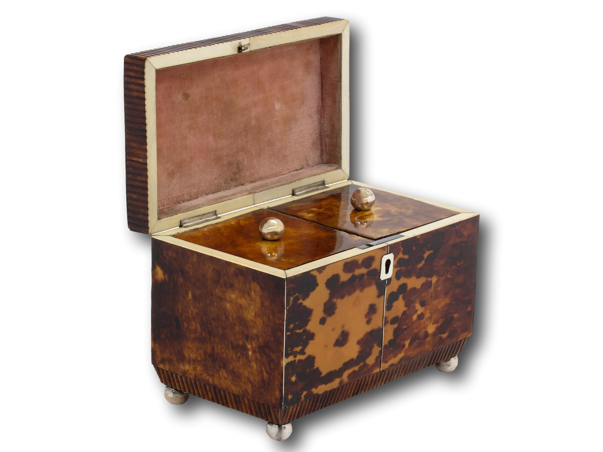 Antique English Regency Tortoiseshell Tea Caddy For Sale 5