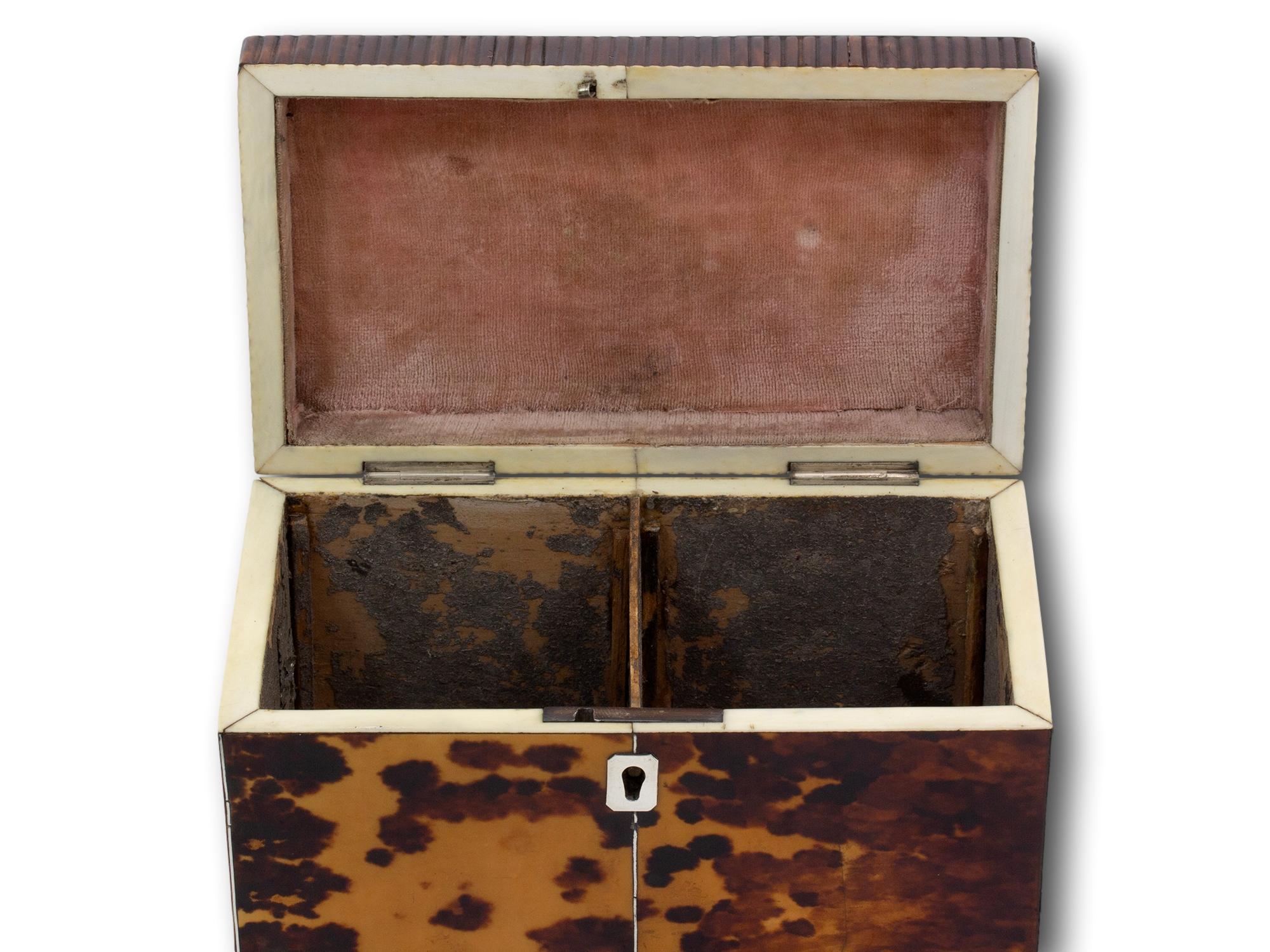 Antique English Regency Tortoiseshell Tea Caddy For Sale 7