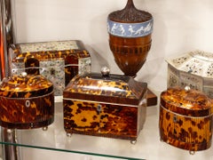 Antique English Regency Tortoiseshell Tea Caddy