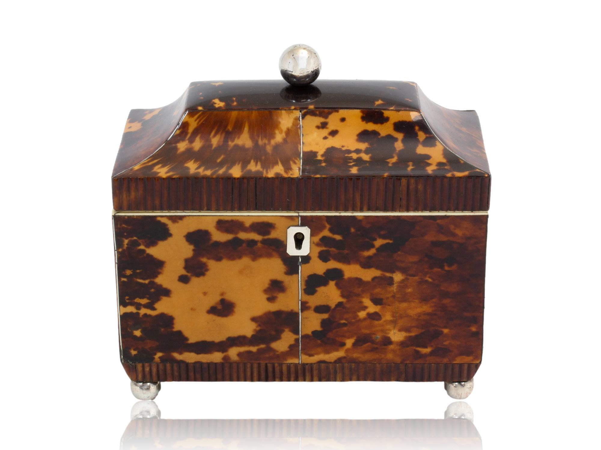 Veneer Antique English Regency Tortoiseshell Tea Caddy For Sale