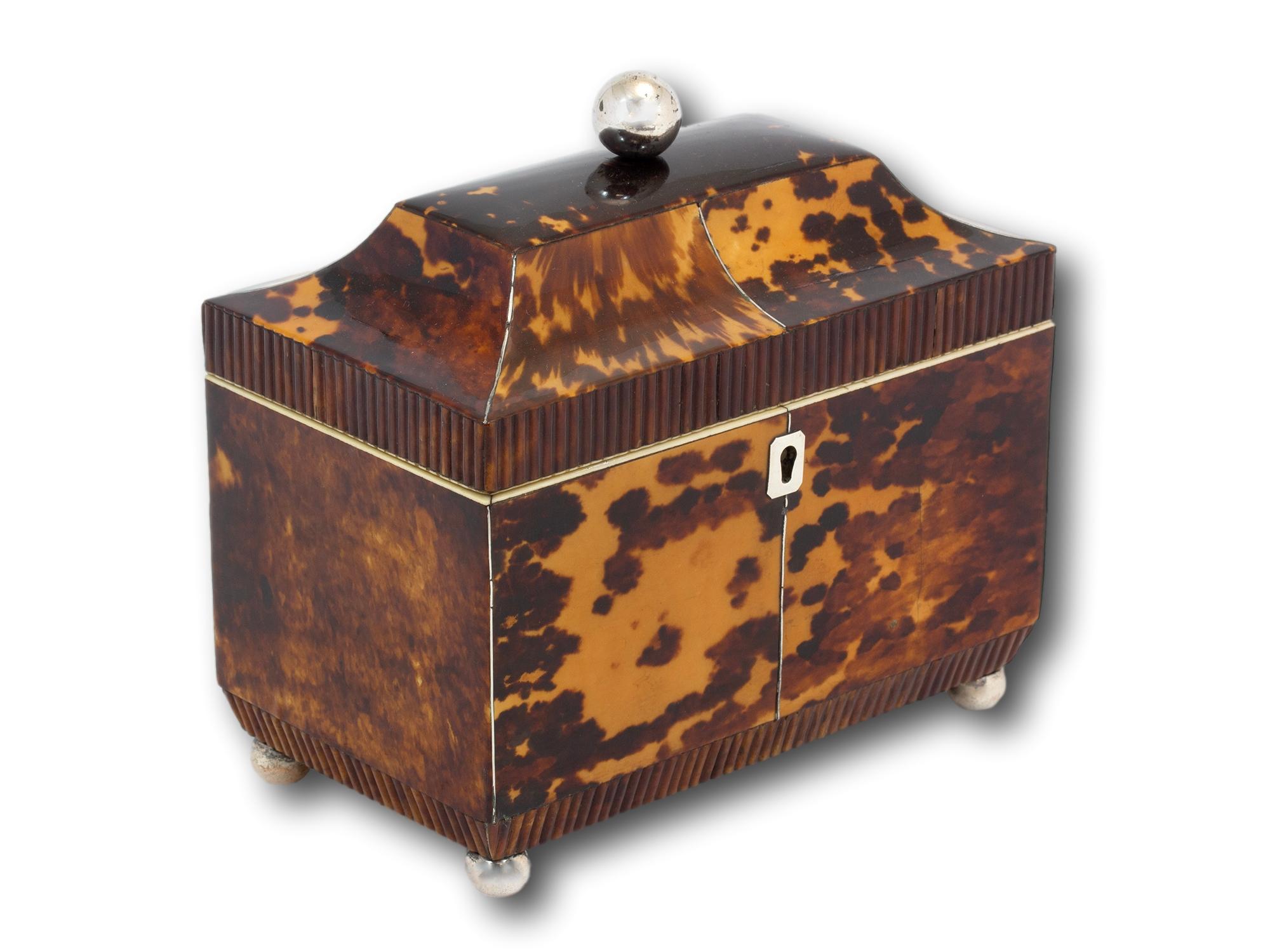 Antique English Regency Tortoiseshell Tea Caddy In Good Condition For Sale In Northampton, GB