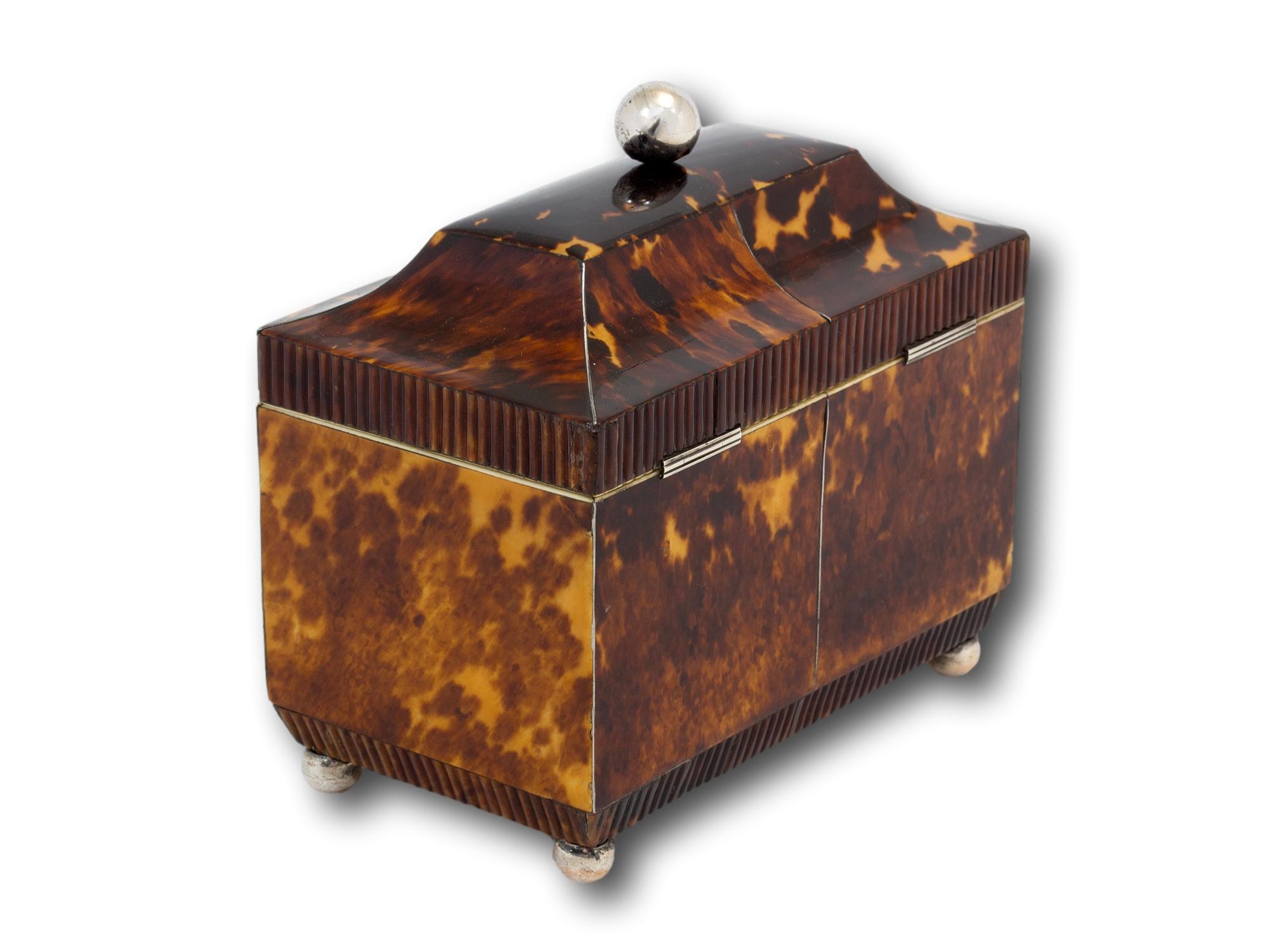 19th Century Antique English Regency Tortoiseshell Tea Caddy For Sale