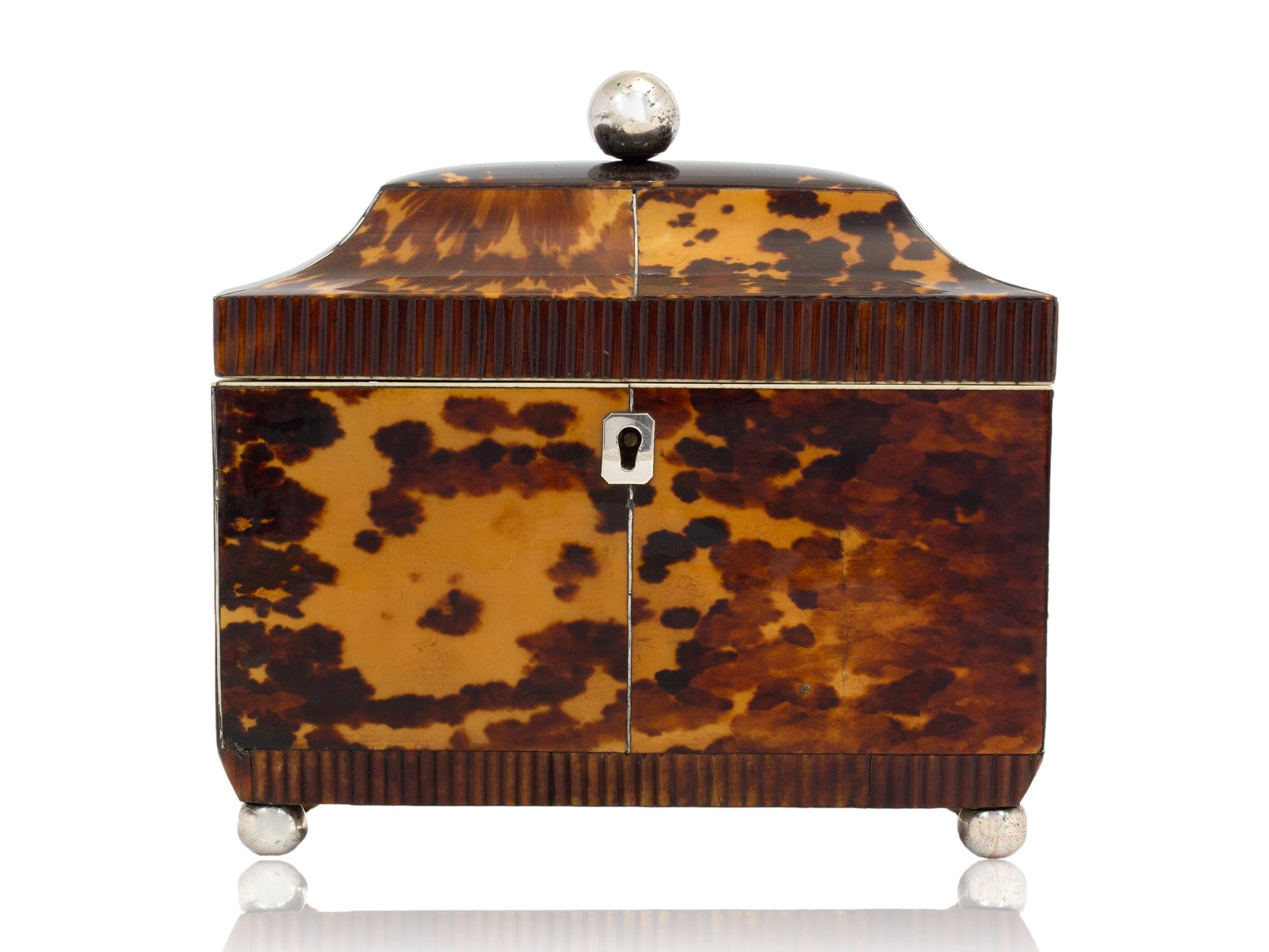 Shell Antique English Regency Tortoiseshell Tea Caddy For Sale