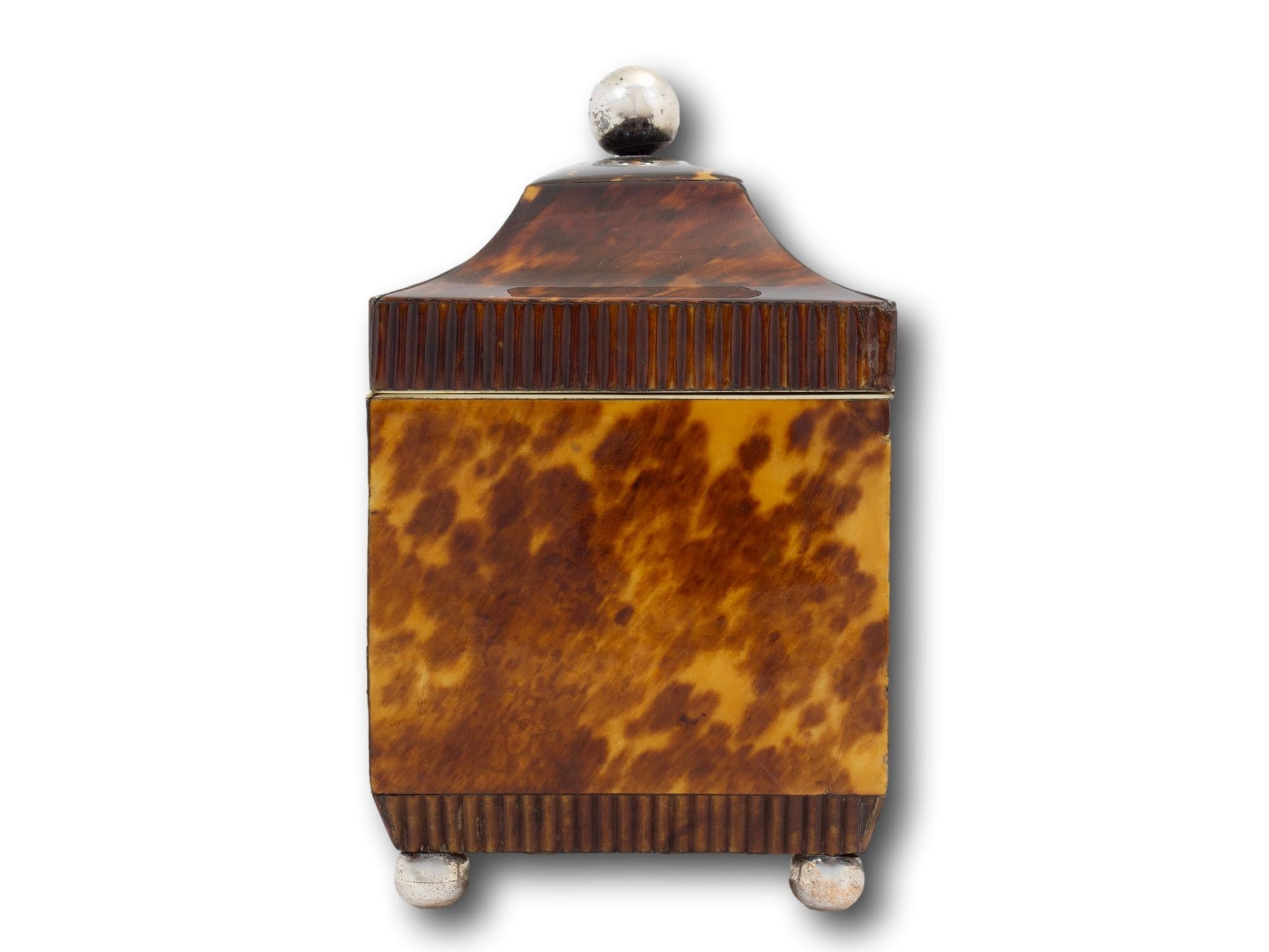Antique English Regency Tortoiseshell Tea Caddy For Sale 1