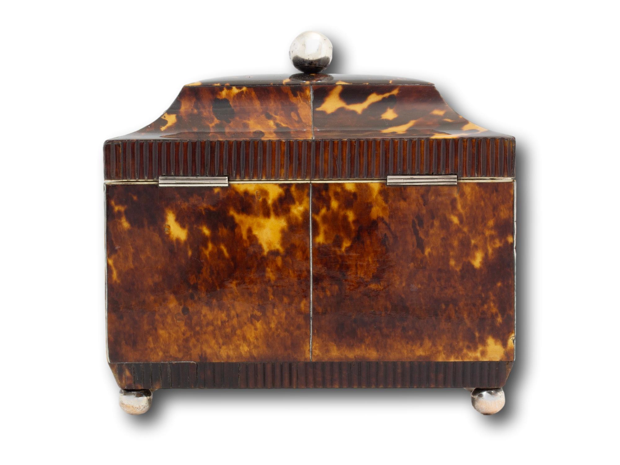 Antique English Regency Tortoiseshell Tea Caddy For Sale 2