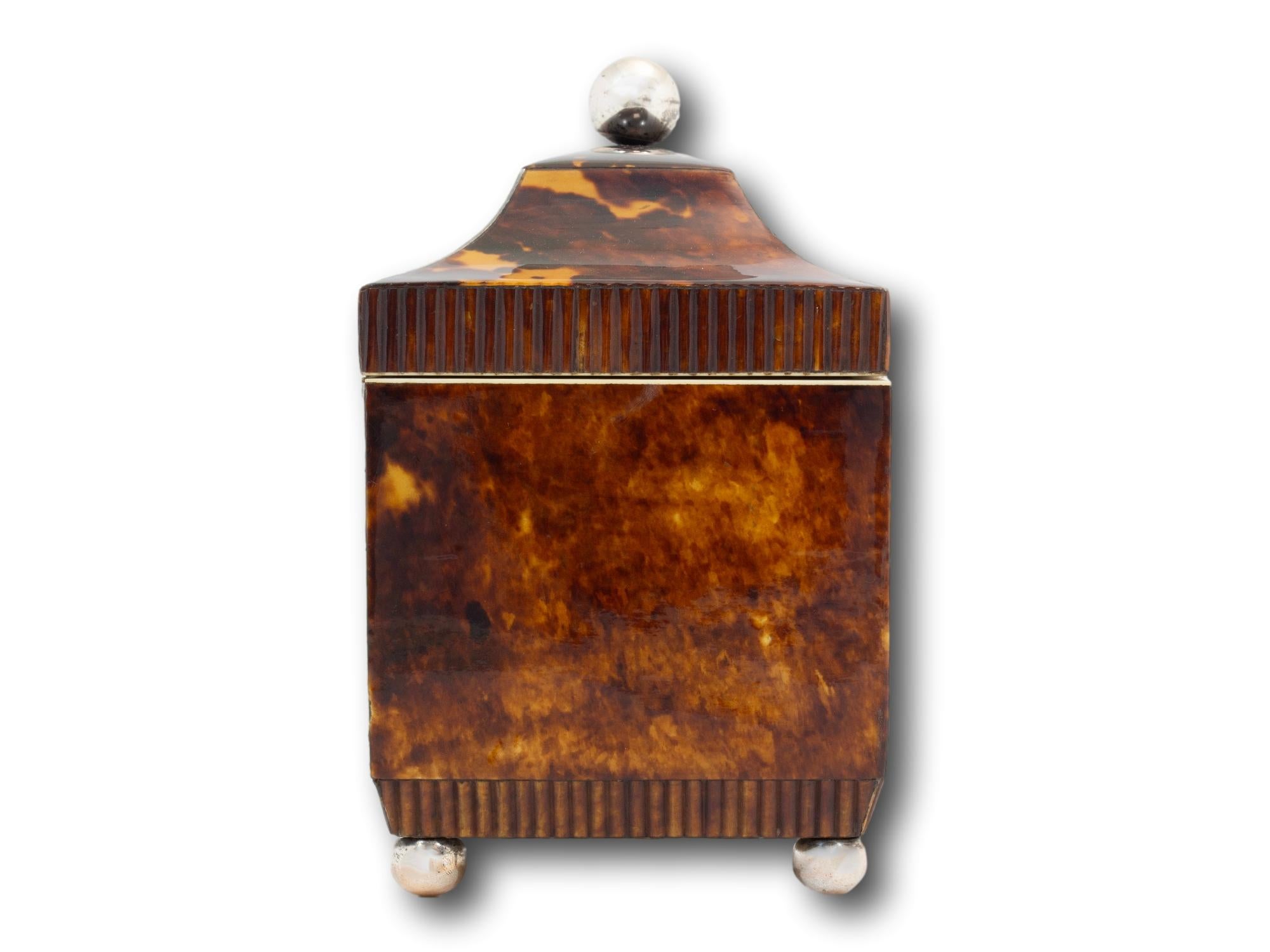 Antique English Regency Tortoiseshell Tea Caddy For Sale 3