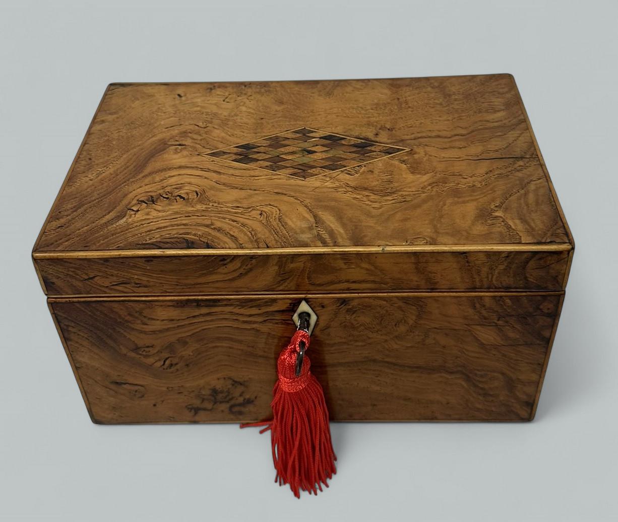 Antike englische Satinholz Holz Georgian Regency Double Tea Caddy 19. (Englisch) im Angebot