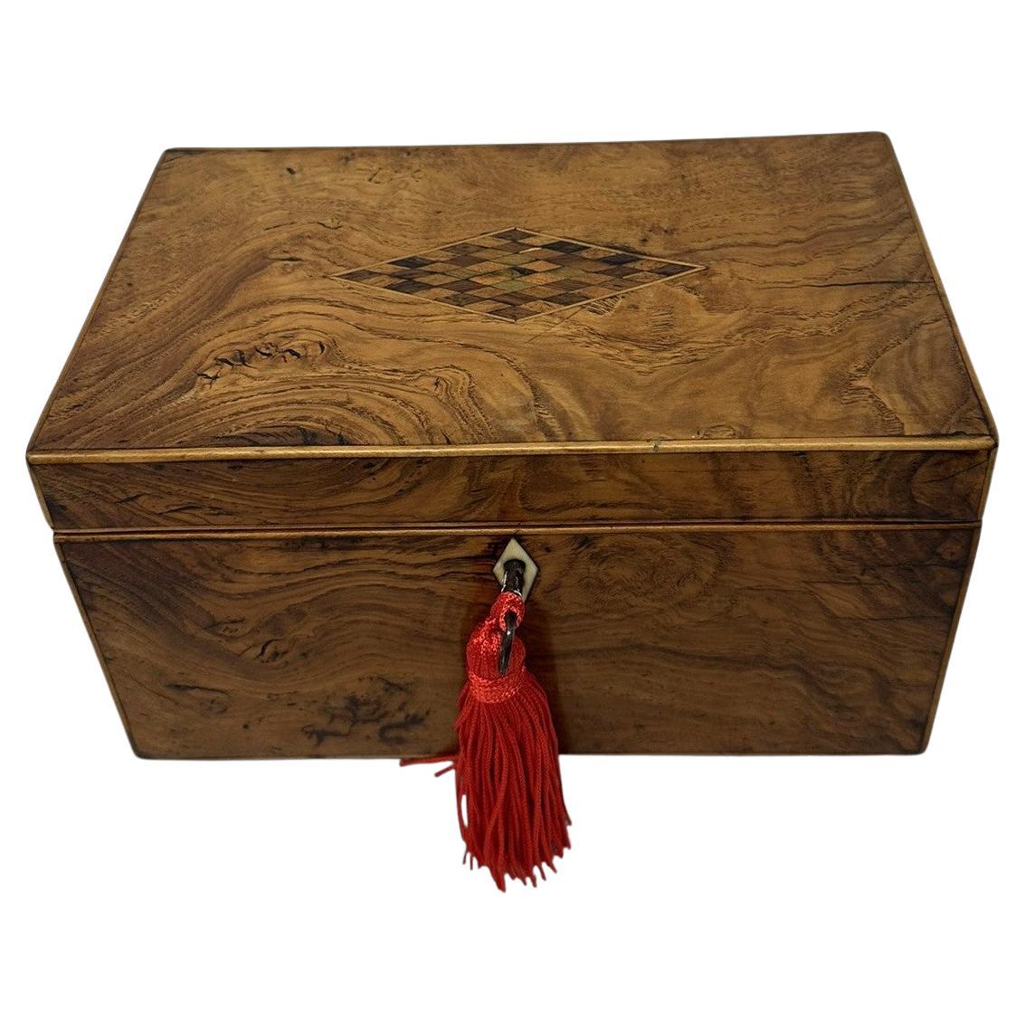 Antique English Satinwood Wooden Georgian Regency Double Tea Caddy 19th Century