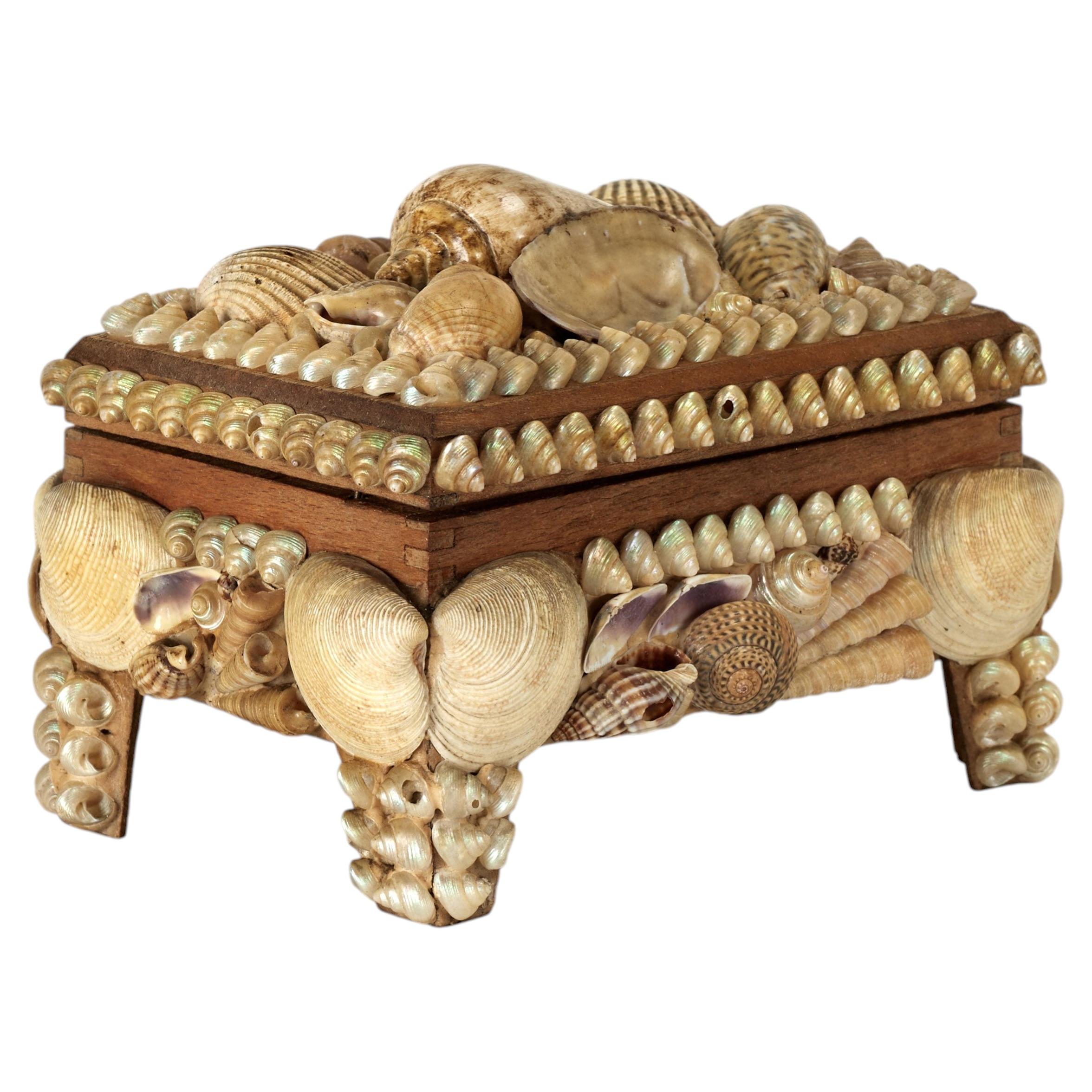 Antique English Seashell Encrusted Music Box