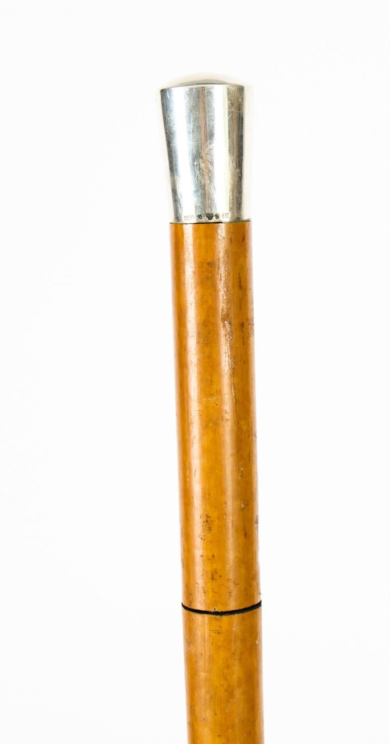 Antique English Silver & Malacca Sword / Walking Stick Cane, 19th Century 1