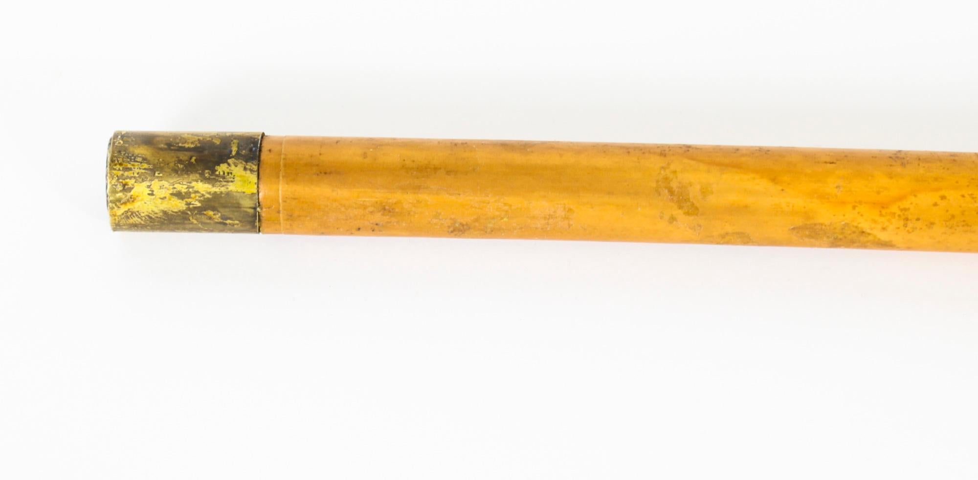 Antique English Silver & Malacca Sword / Walking Stick Cane, 19th Century 2