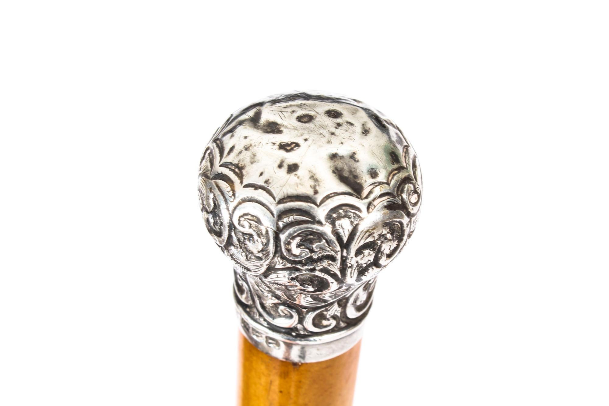 Sterling Silver Antique English Silver and Malacca Sword / Walking Stick Cane, 19th Century