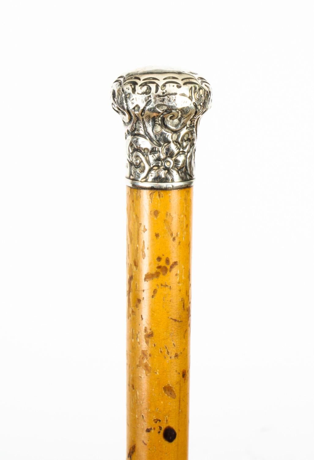 Antique English Silver & Malacca Sword / Walking Stick Cane, London, 1888 7