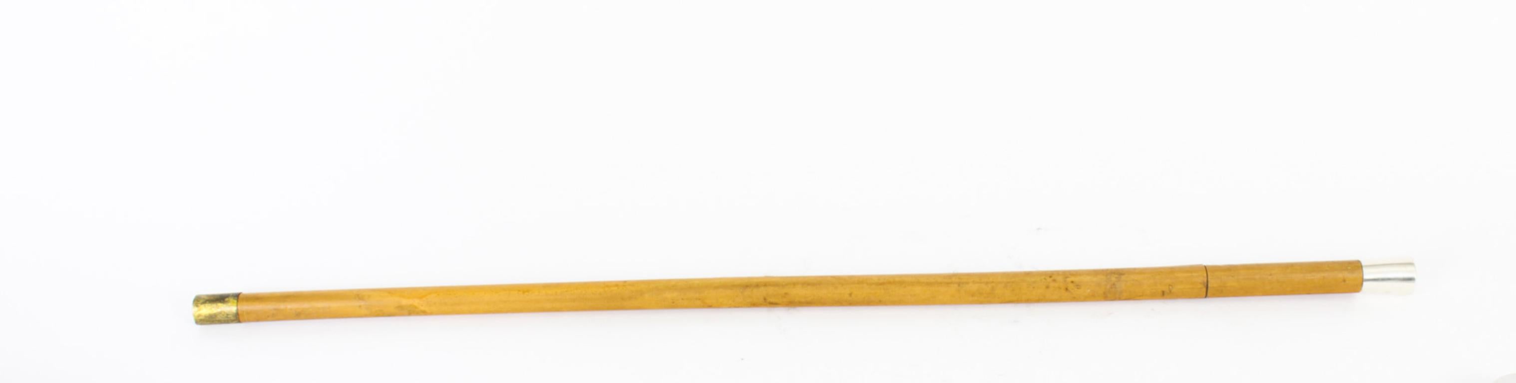 Antique English Silver & Malacca Sword / Walking Stick Cane, London, 1888 10