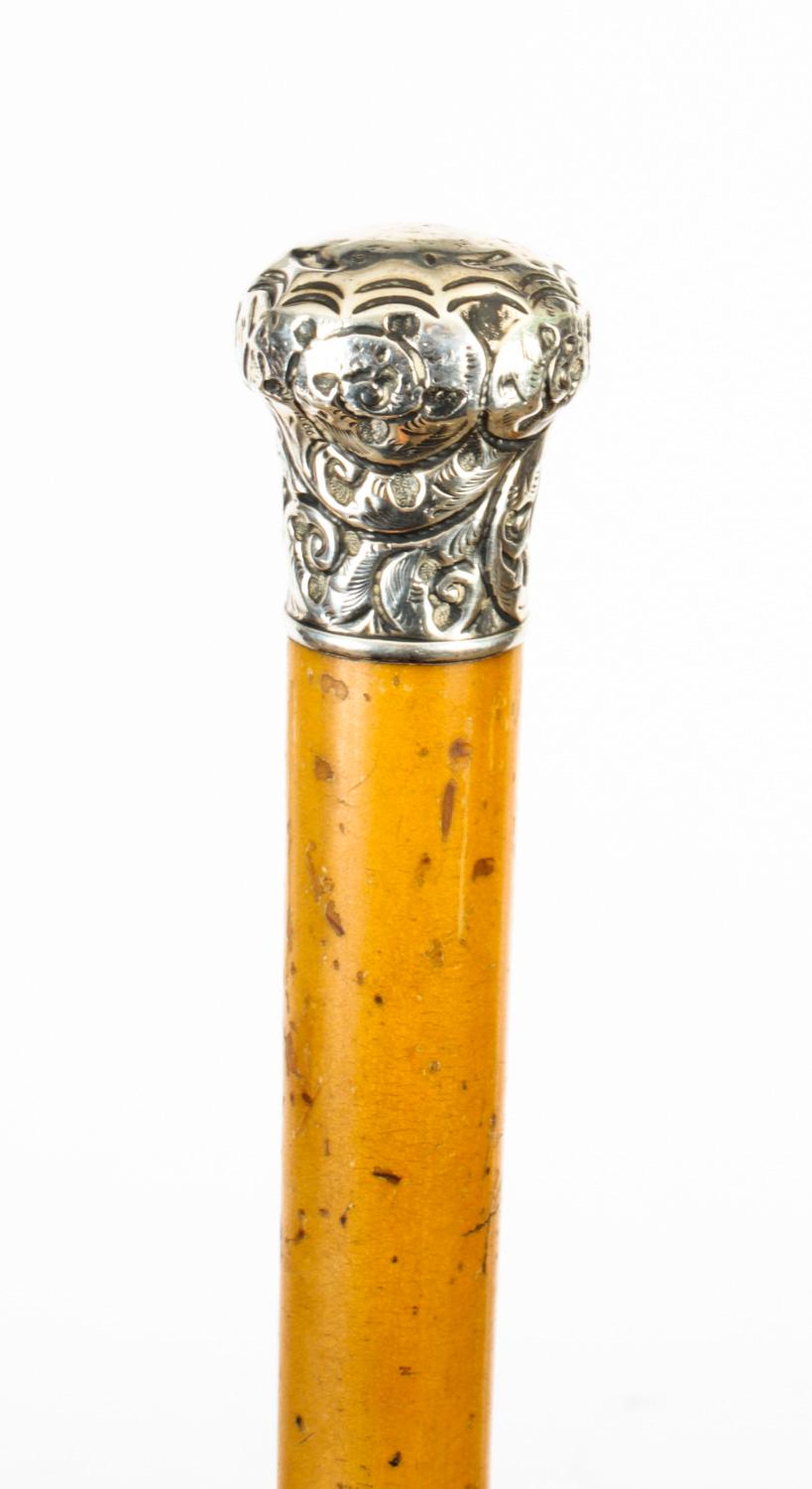 Late 19th Century Antique English Silver & Malacca Sword / Walking Stick Cane, London, 1888