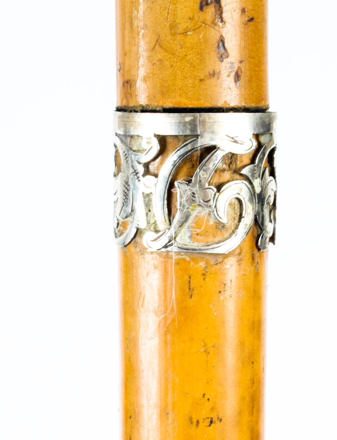 Antique English Silver & Malacca Sword / Walking Stick Cane, London, 1888 5