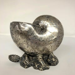 Cuillère chauffante en forme de coquillage Nautilus en argent plaqué