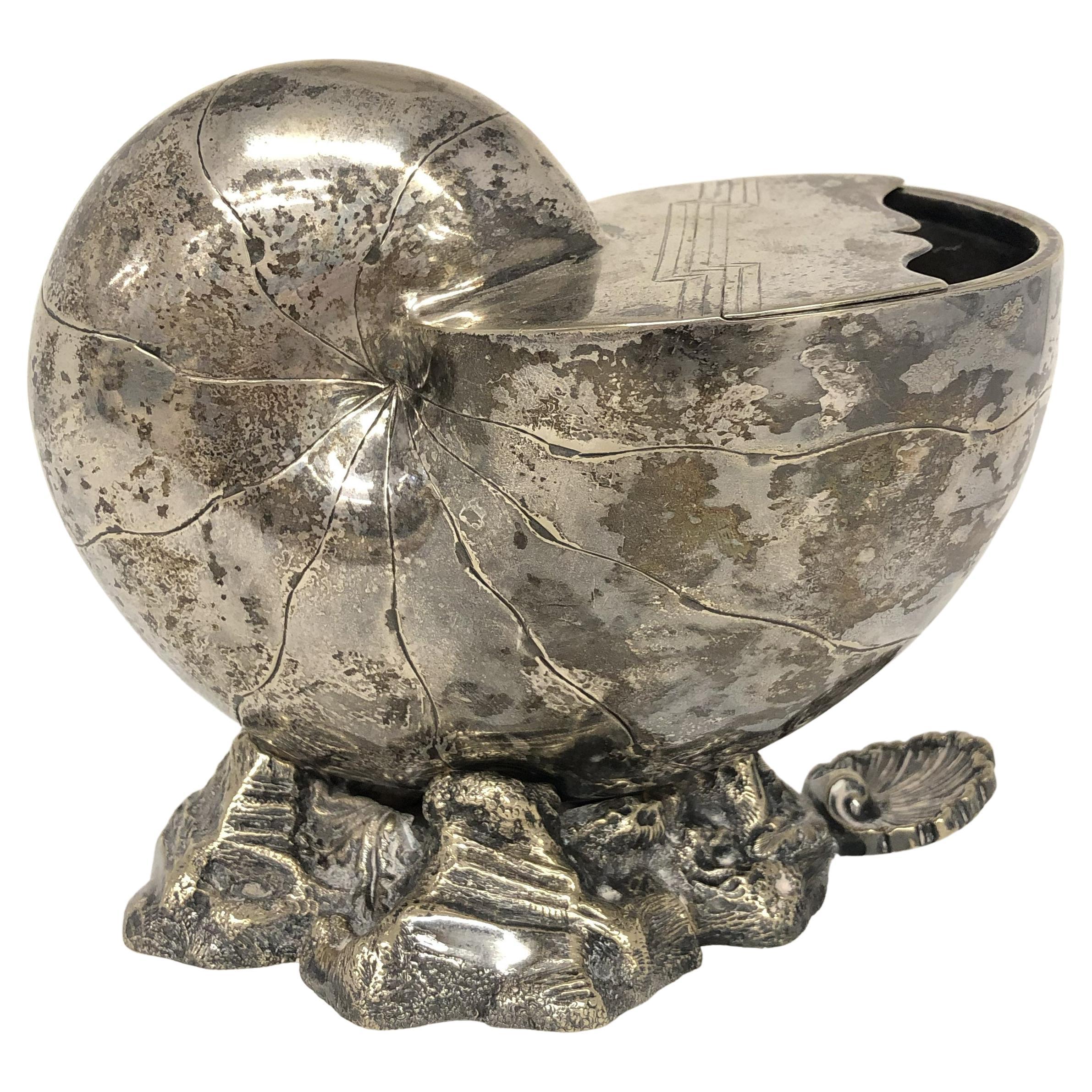 Cuillère chauffante en forme de coquillage Nautilus en argent plaqué