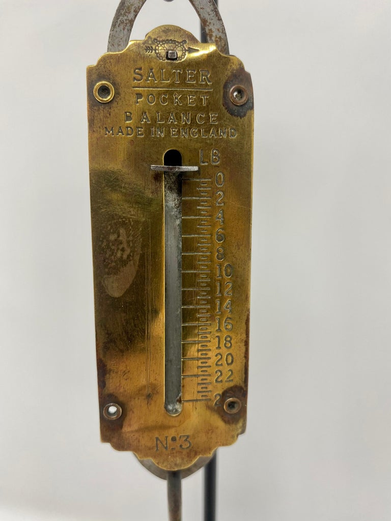 Salter pocket balance cheap