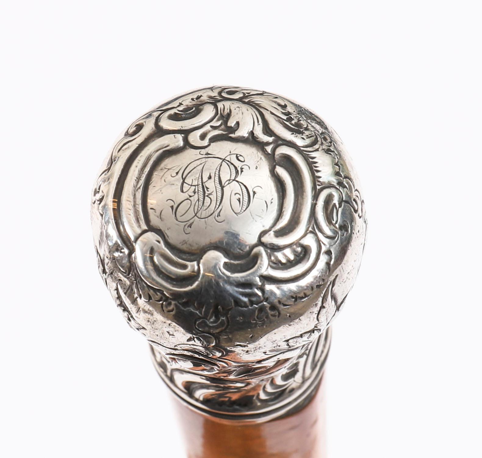 Antico bastone da passeggio inglese in argento sterling Exeter del XIX secolo in vendita 2