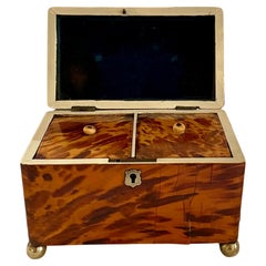 Antique English Tortoise Shell Tea Caddy