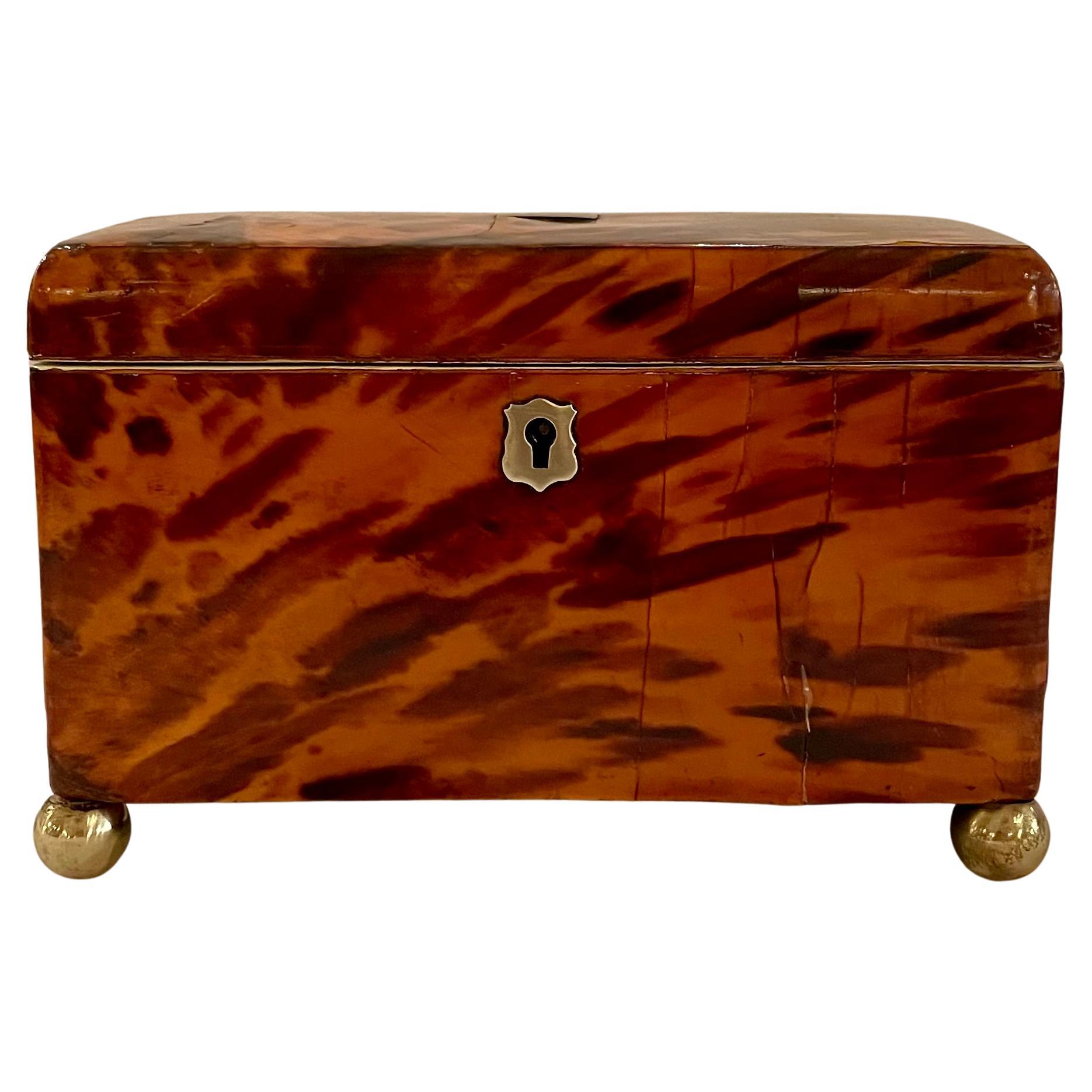 19th Century Antique English Tortoise Shell Tea Caddy For Sale