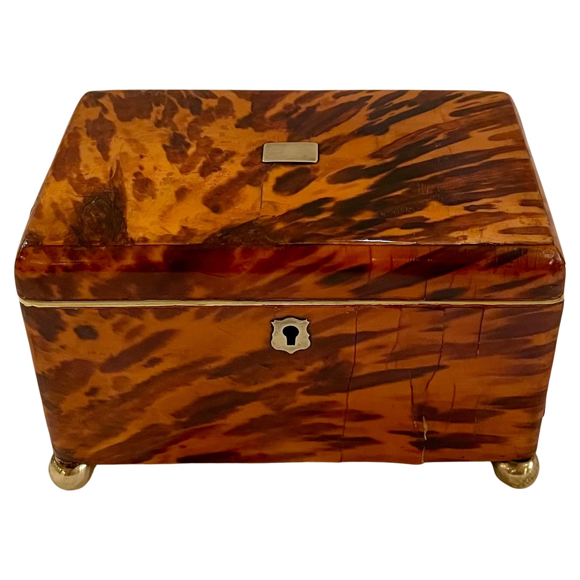 Antique English Tortoise Shell Tea Caddy For Sale 1