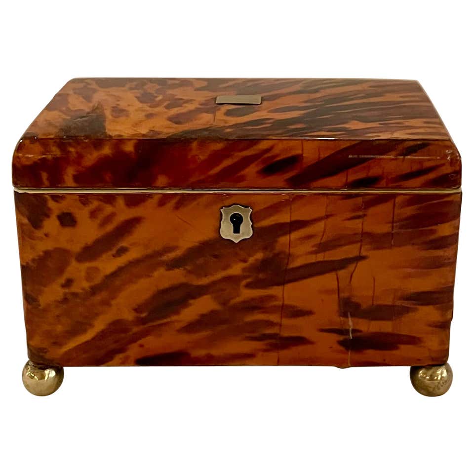 Tortise Shell Box Tortoise Shell Decorative Box with Paw Feet. Tortoise Shell With Bun ...