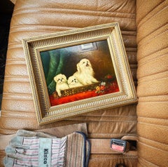 Antique English Traditional Framed Gilt Wood Maltese Dog Painting, Signed